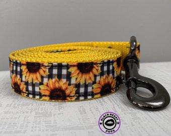 sunflower dog collar and leash