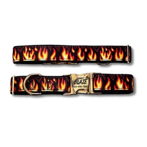 May include: Black dog collar with a repeating flame pattern in red, orange, and yellow. The collar has a gold-colored buckle and a metal D-ring. The text "BLAZE" and a phone number are visible on the buckle.