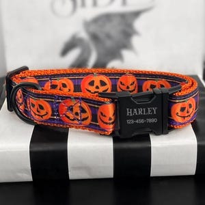 Lila kariertes Kürbis-Hundehalsband, mit graviertem, rotem Halloween-Kürbis-Motiv, XS-XXL