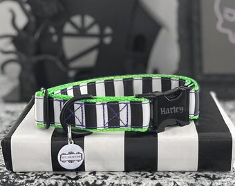 BEETLE - Black and White Stripe Standard Dog Collar - Halloween Dog Collar - Personalized Buckle Collar - Neon Green It&#39;s Showtime Collar