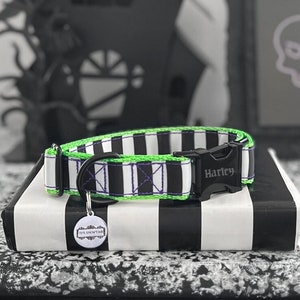 BEETLE - Black and White Stripe Standard Dog Collar - Halloween Dog Collar - Personalized Buckle Collar - Neon Green It's Showtime Collar