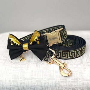 Gucci dog collar and leash Etsy Espana