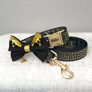 MUSE SET Pegasus Dog Collar and Leash Set Gold Greek Key 