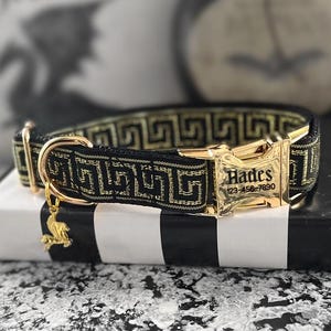 Muse - Pegasus Hundehalsband, Goldenes Schlüsselmuster, Standardhalsband, Mode-Haustierhalsband, Kunststoff- oder Metallschnallenhalsband, Metallic Gold-Halsband