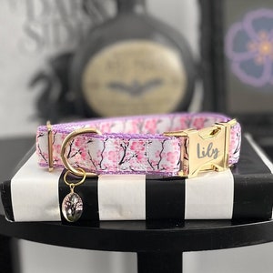 EMMA - Cherry Blossom Dog Collar - Floral Standard Dog Collar - Girly Personalized Plastic or Metal Buckle Collar - Spring Sakura Pet Collar