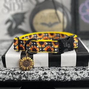 SOLEIL - Sunflower Dog Collar - Floral Standard Dog Collar - 3/8" 5/8" 1" or 1.5"  Gingham Collar - Girly Collar With Personalized Buckle