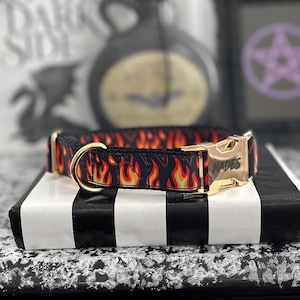 PAIN - Red Flame Dog Collar - Goth Standard Pet Collar - 3/8" 5/8" 1" or 1.5" Fire Design Collar - Engraved Plastic or Gold Buckle Collar