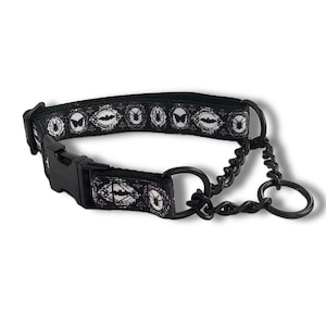 Gothic Insect Martingale Dog Collar: Baroque Taxidermy Bugs Print, Metal Chain or Fabric Loop, Optional Buckle