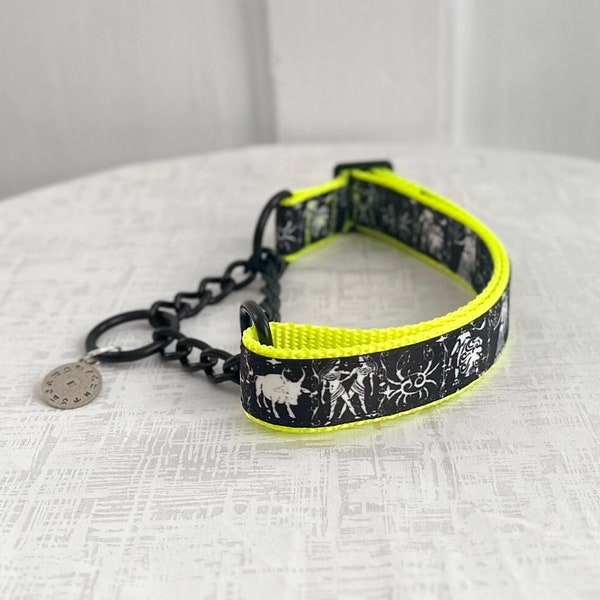 ORION Martingale - Neon Zodiac Martingale Dog Collar , 5/8" 1" or 1.5" Wide Martingale With Personalized Buckle, Astrology Dog Collar