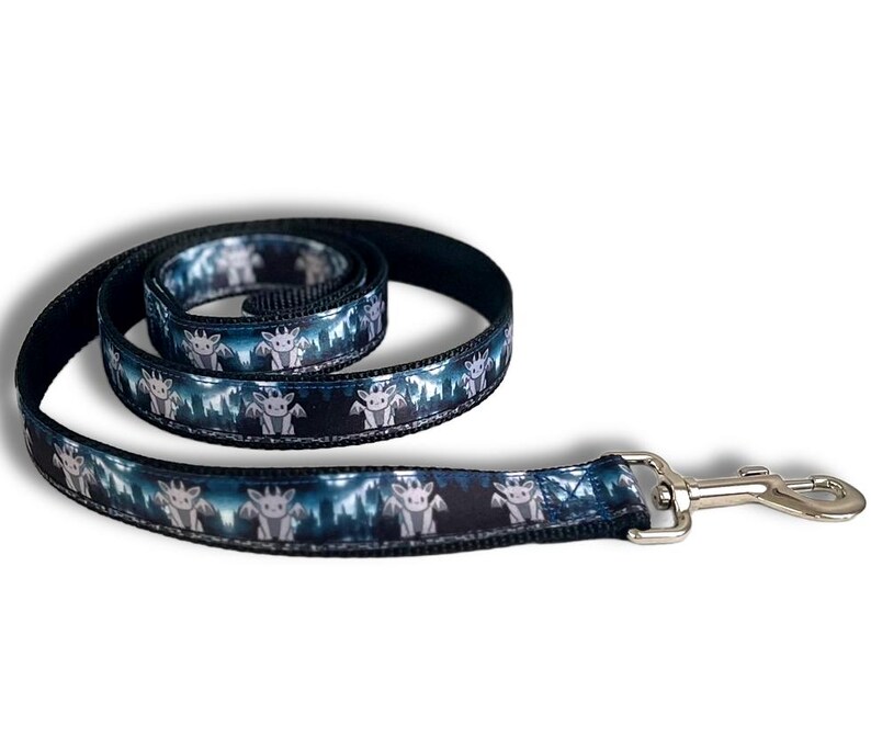 May include: A coiled pet leash featuring a repeating pattern of small, grey, winged dragon-like creatures against a dark blue and black background. The leash is constructed with black webbing and includes a silver-toned metal swivel snap hook.