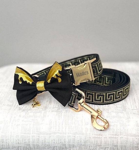 Gold dog collar and leash hotsell
