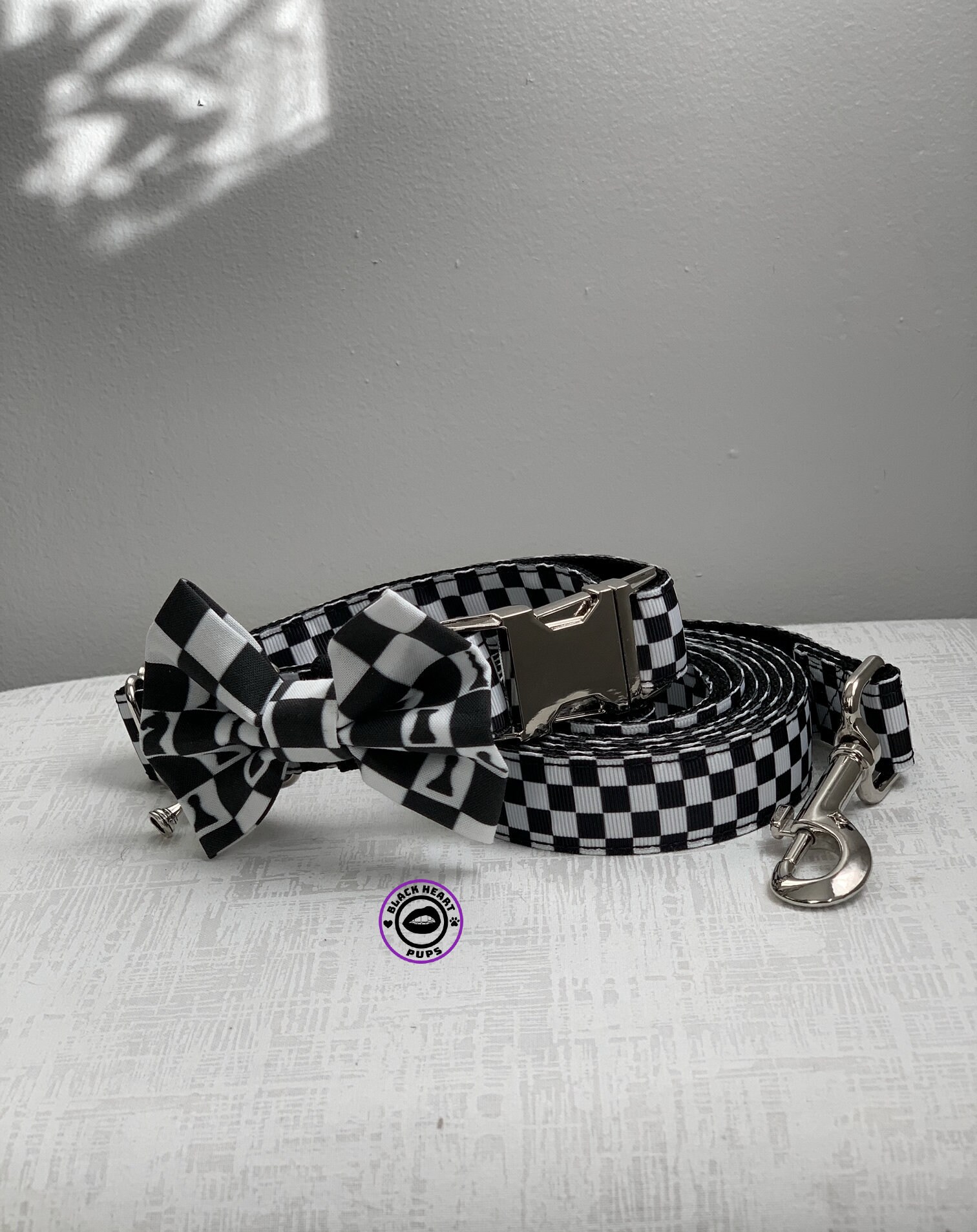 matching collar and leash