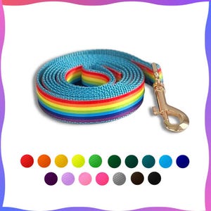 Può includere: Un guinzaglio per cani arrotolato, azzurro, con un design a strisce arcobaleno. Il guinzaglio ha un moschettone in metallo color oro. Le strisce arcobaleno includono rosso, arancione, giallo, verde e viola. Il guinzaglio è realizzato in materiale resistente e tessuto.