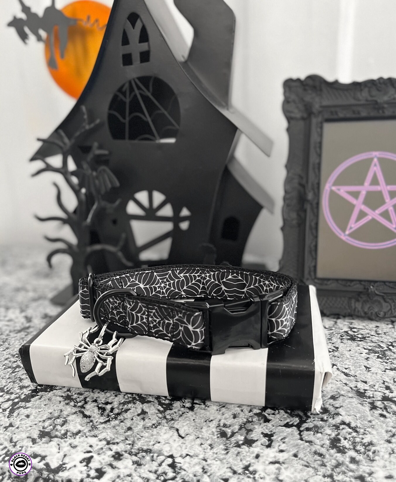 GOMEZ Spider  Dog Collar Gothic Dog Collar Spooky Etsy