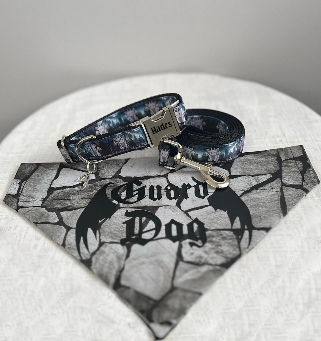 GUARDIAN SET Gargoyle Dog Collar and Leash Set 3 Piece Gothic Dog