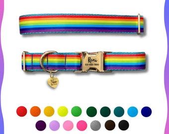 Può includere: Un collare per animali a righe arcobaleno con una fibbia in metallo dorato incisa con il nome Remi e un numero di telefono, oltre a una targhetta a forma di cuore con la scritta Not Today Satan. Sotto, diciannove piccoli campioni di colore.