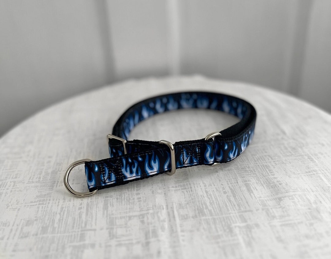 PANIC Limited Slip Blue Flame Dog Collar Limited Slip Dog Collar