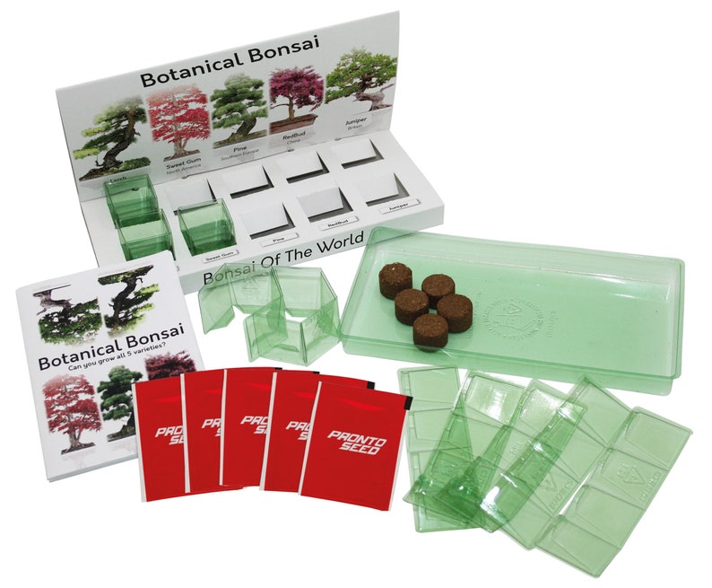 Bonsai Tree Eco Grow at Home Kit 100 Recyclable With 5 Etsy UK
