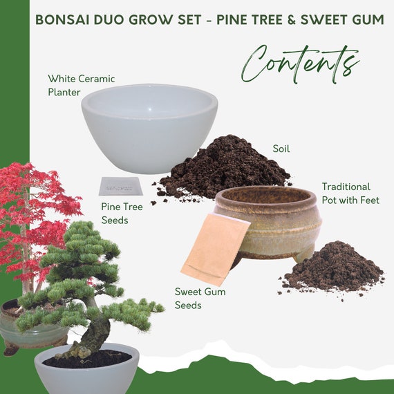  Bonsai Tree kit -NIFSEL Bonsai Growing Kit - Complete Starter  kit, 5 Types of Trees - Culture Medium, Plant Marker, Burlap Pots - Indoor  Garden Gardening - Unique Garden Gift, Housewarming