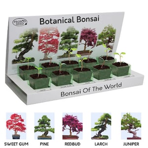 Bonsai Tree Seed Starter Kit | Grow Your Own Bonsai Tree | Gardening Gifts for Women, Men, Him, Her, Mum, Dad, Grandad & Children