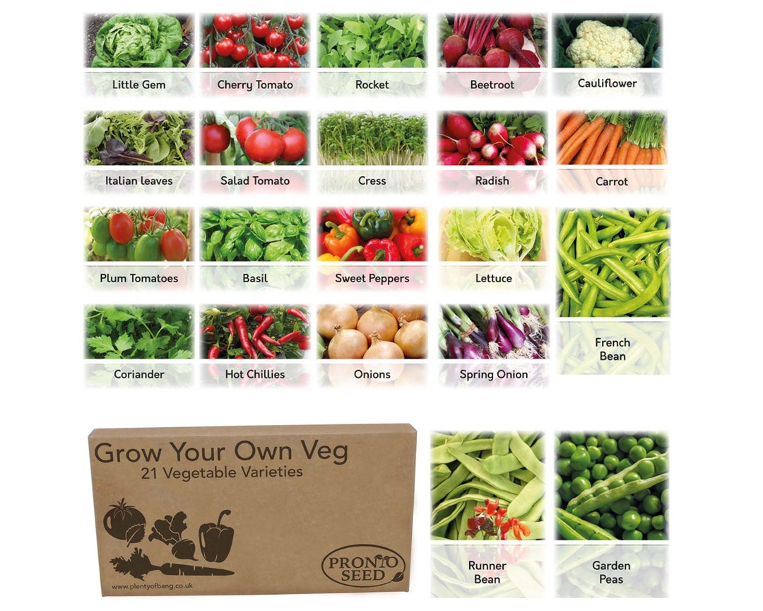 Vegetable Seeds UK 21 Varieties Over 1700 Seeds to Grow Your Own Veg Gardening Gift for Women
