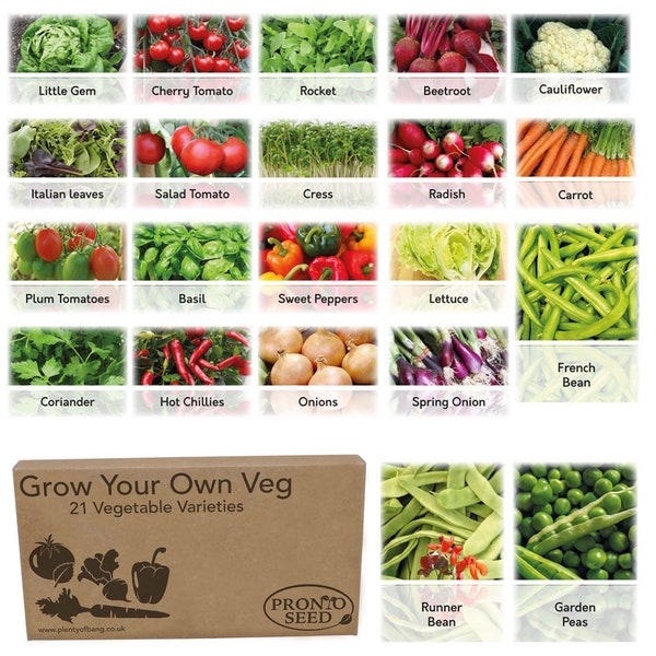 Vegetable Seeds UK 21 Varieties - Over 1700 Seeds to Grow Your Own Veg |  Gardening Gift for Women, Men, Him, Her, Grandad & Dad