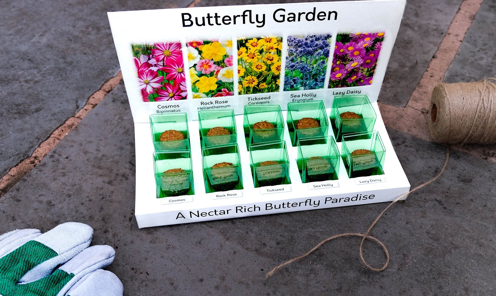 Flower Seeds UK Grow Your Own Flowers Starter Kit 5 Varieties Etsy UK