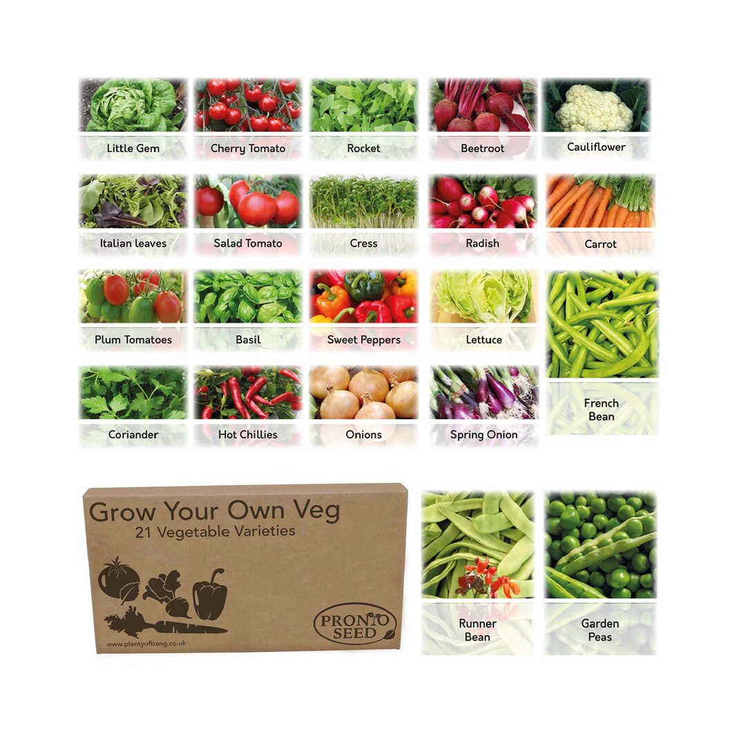 Vegetable Seeds UK 21 Varieties Over 1700 Seeds to Grow Your Etsy UK