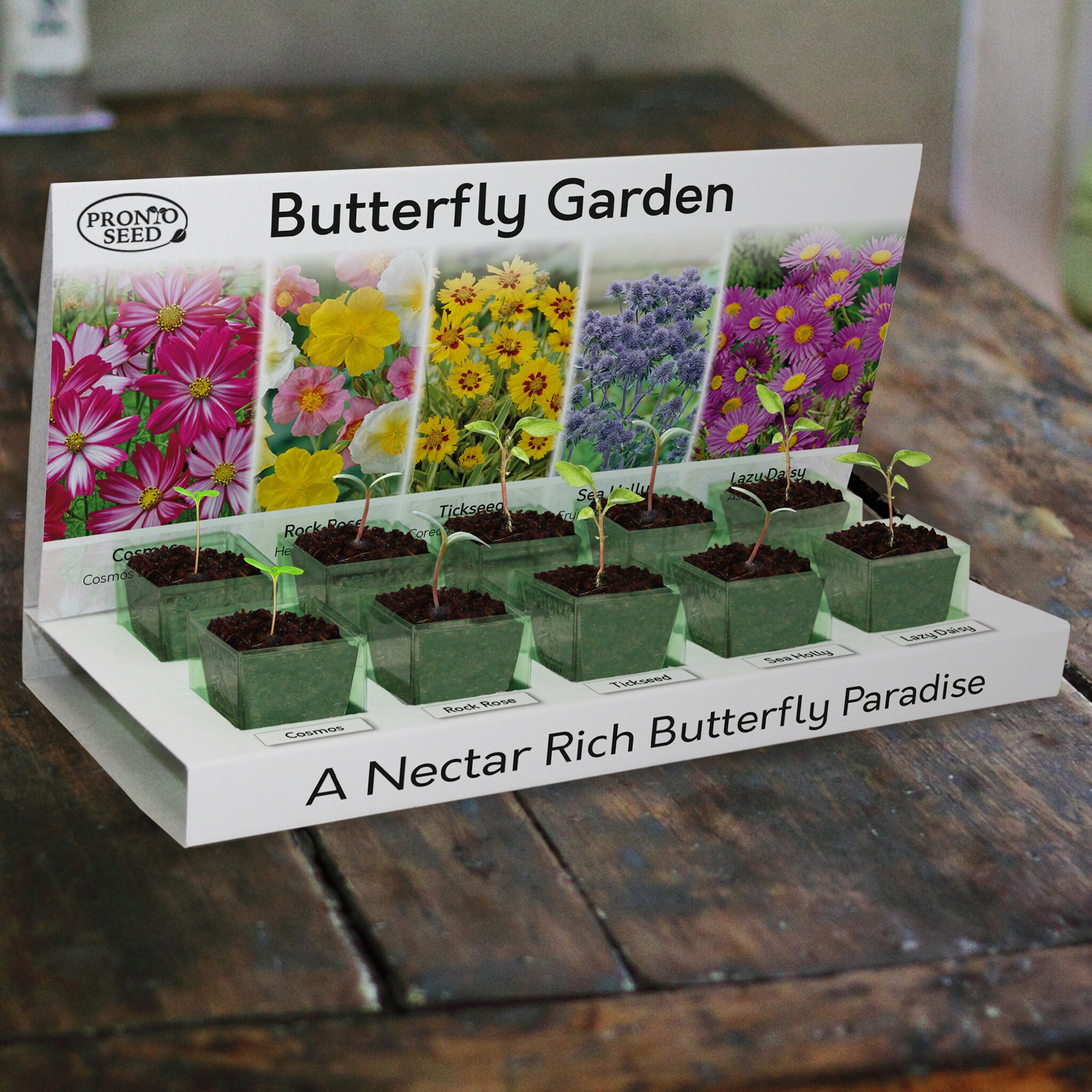 Flower Seeds UK Grow Your Own Flowers Starter Kit 5 Varieties Etsy UK