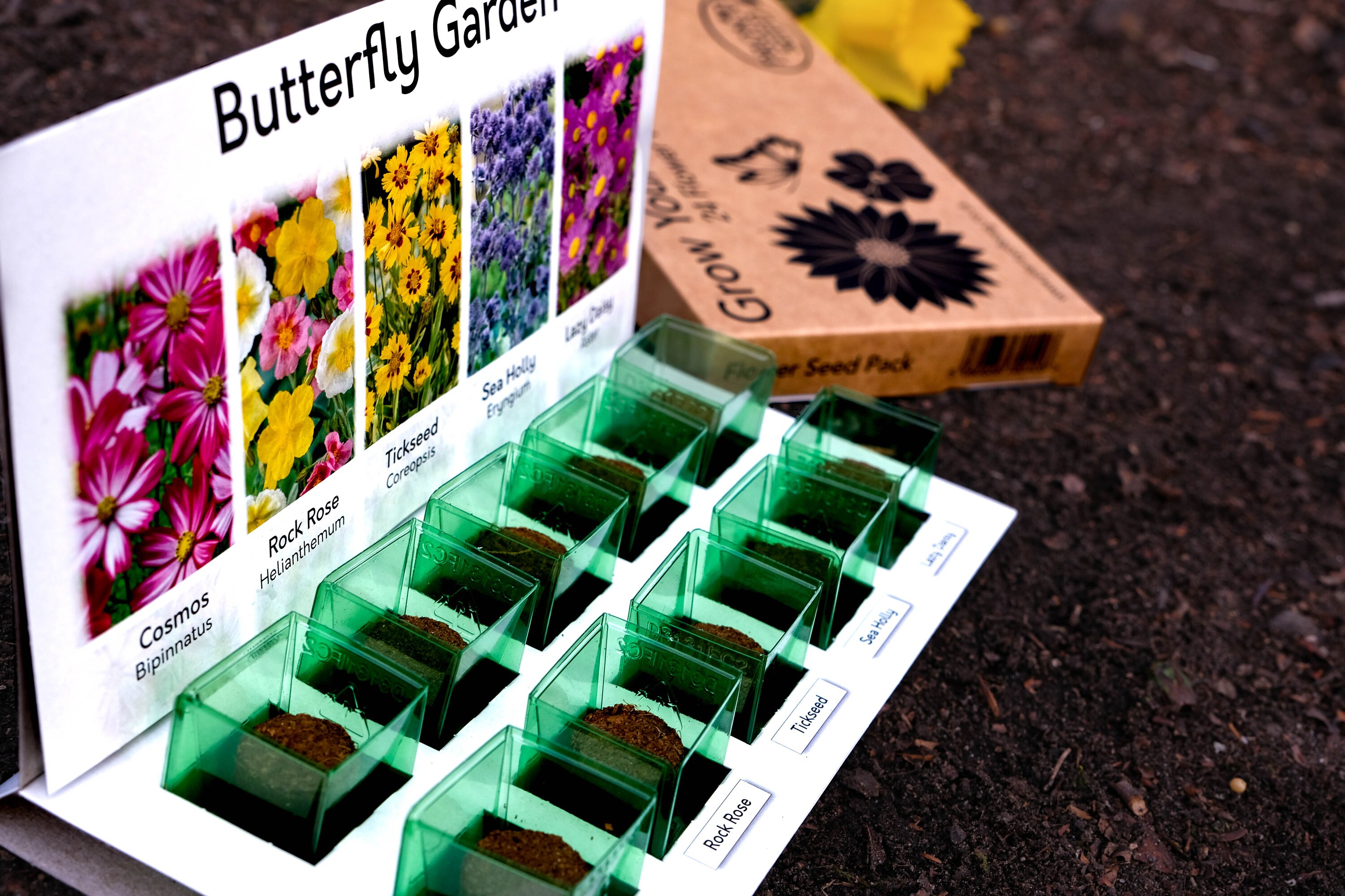 Flower Seeds UK Grow Your Own Flowers Starter Kit 5 Varieties Etsy UK