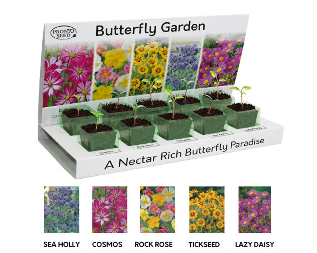 Flower Seeds UK Grow Your Own Flowers Starter Kit 5 Flower Seed