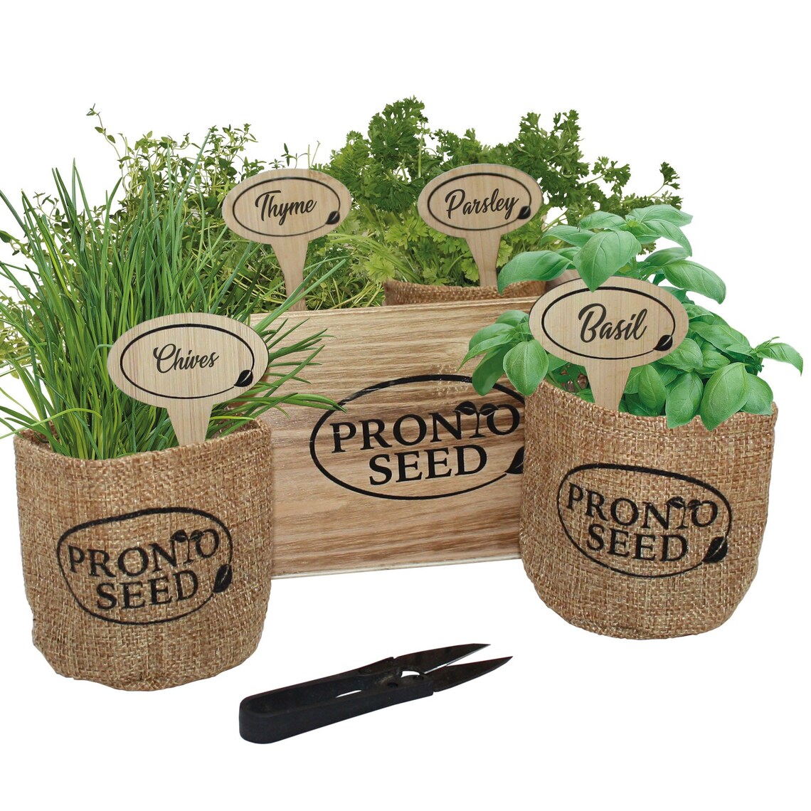 Herb Kit Premium Herb Growing Set Grow 4 Most Popular Etsy UK