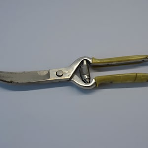 Antique Bookbinding or Leather Maker Scissors, Shears, Riveted, Hand  Forged, Maker Marked 