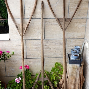 May include: Three antique wooden hay forks with long, slender handles and curved tines. The forks are displayed against a neutral-toned tiled wall, with potted plants and a small fountain in the foreground. The wood has a weathered, natural finish.