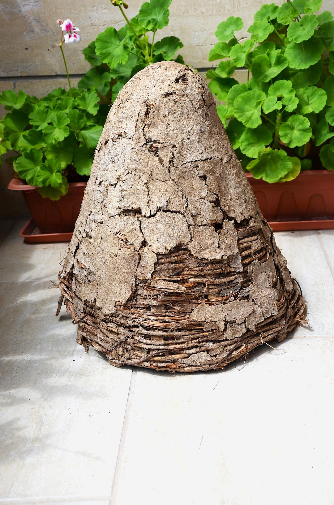Antique Bee Skep: Hand-woven Reed & Mud Beehive, Early 20th Century ...