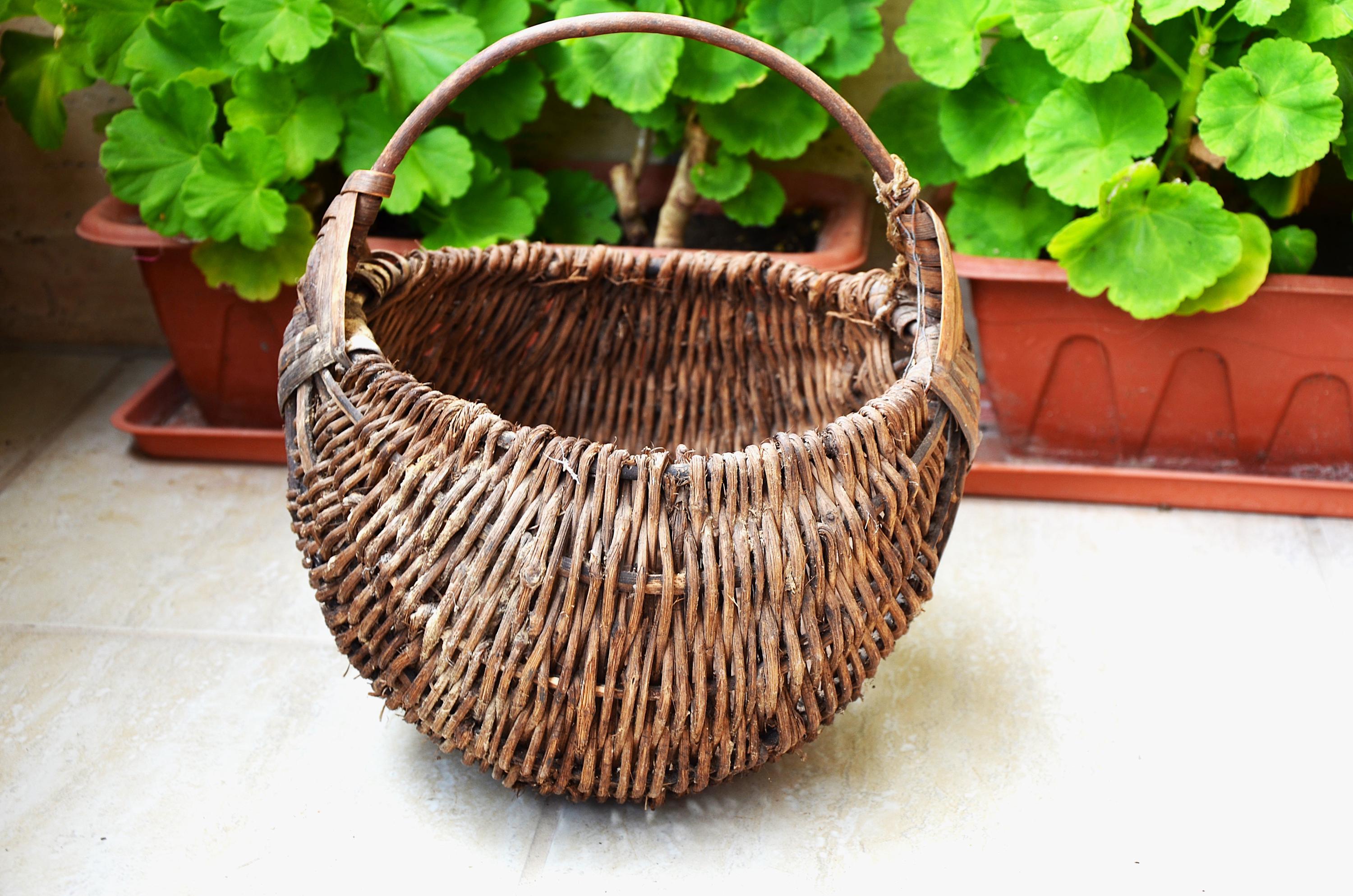 アンティークフランス製 20世紀 ハーベストバスケット、ハンドル付き籐