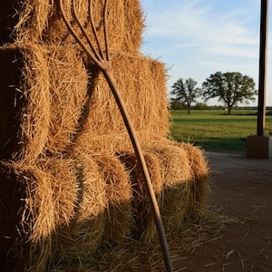 Horca de madera del siglo XIX hecha a mano / Herramienta agrícola antigua / Decoración rústica de granja / Objeto de colección de granero primitivo / Horca de madera vintage