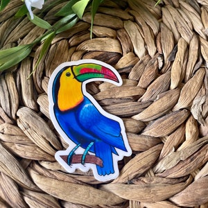 Toucan Sticker | aesthetic stickers, stickers for water bottle, laptop sticker, car stickers, planner stickers, bird sticker, animal sticker