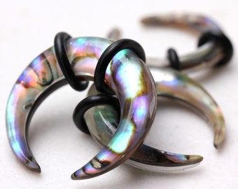 Natural Organic Abalone Shell Pincher Taper with O-Rings