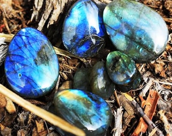 AAA Grade Natural Labradorite Double Flare Teardrop Plug