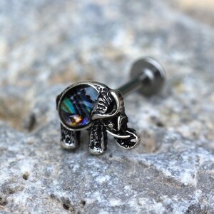 316L Stainless Steel Abalone Shell Elephant Labret