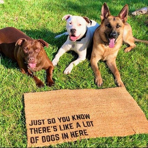 Theres like a lot of dogs in here door mat  / funny dog doormat / housewarming gift / wedding gift / dog parent gift / dog lover gift