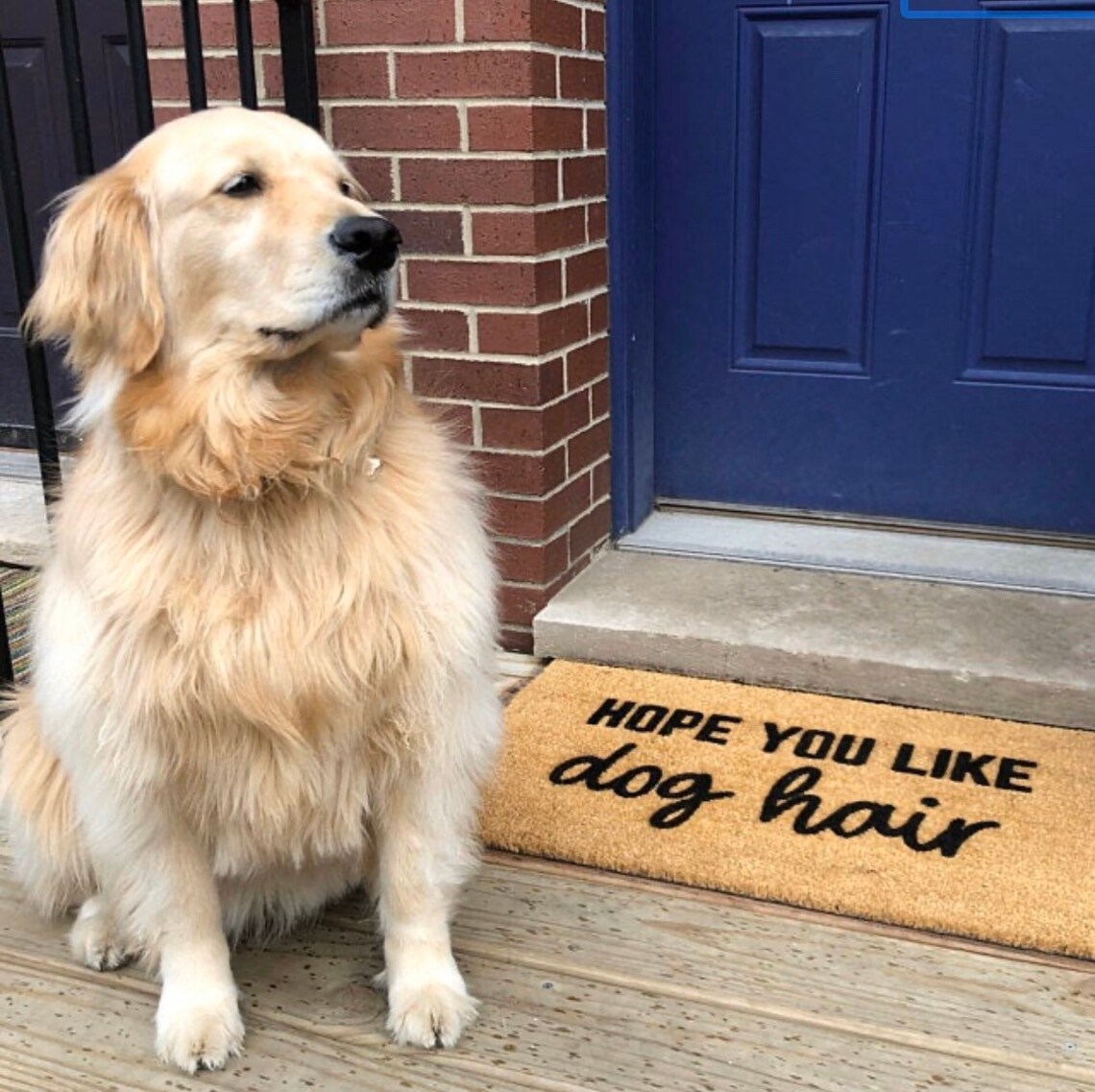 Hope You Like Dog Hair Doormat Door Mat/ Dog Doormat / Funny Etsy