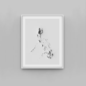 Philippines Relief Map Print
