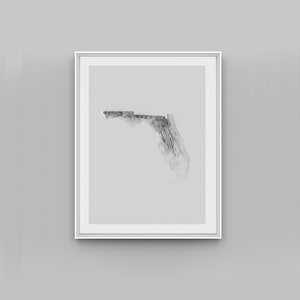 Florida Relief Map Print