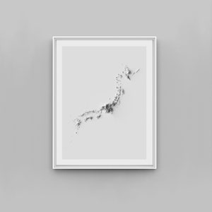 Japan Relief Map Print