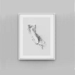 California Relief Map Print