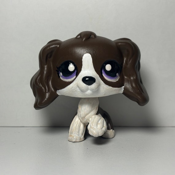 Lps collie and cocker spaniel hotsell