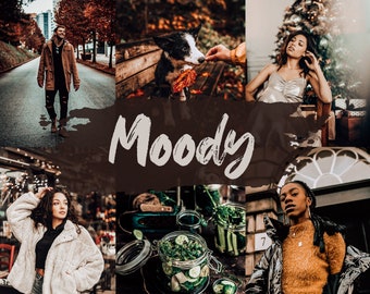 Dark Moody | Set von 5 Mobile & Desktop Lightroom Presets | Warm Deep Color Fotofilter