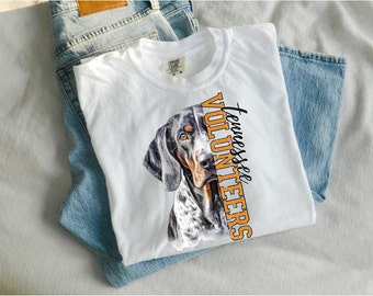 Camiseta ahumada de los Tennessee Vols: colores cómodos
